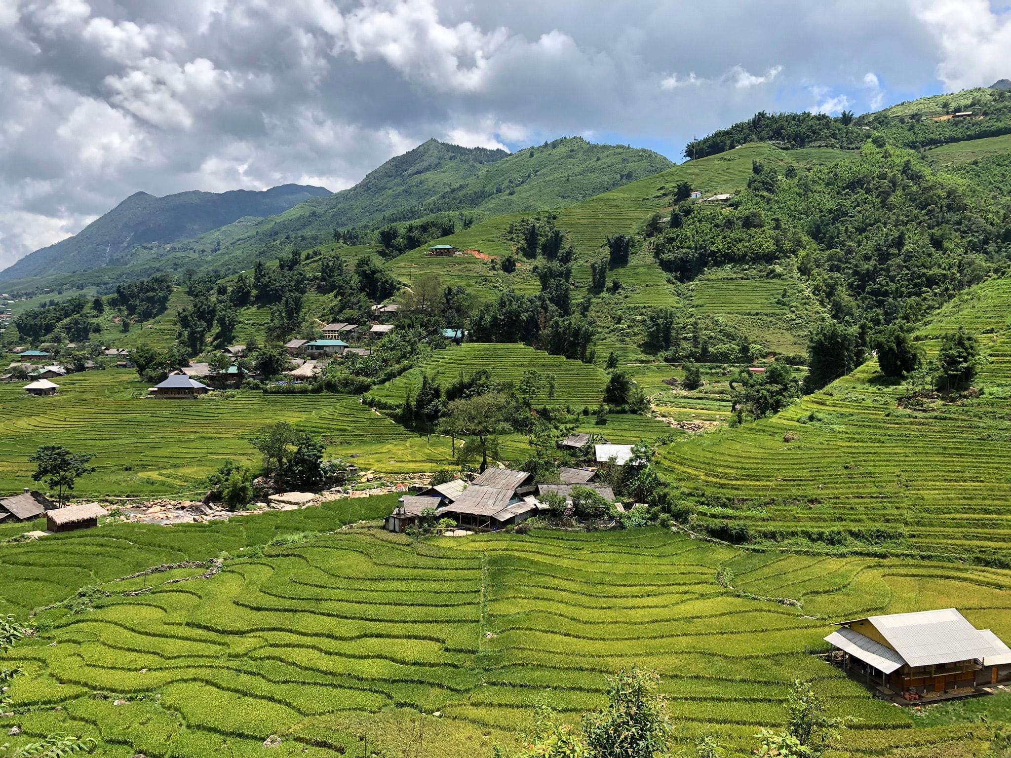 Terrazas de Mu Cang Chai