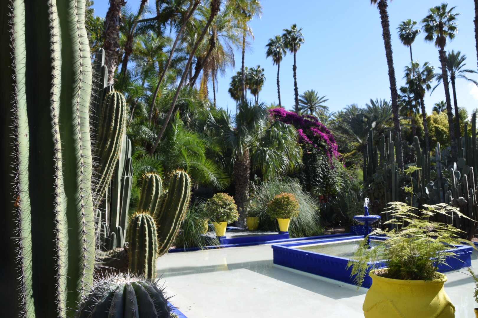 Jardí Majorelle