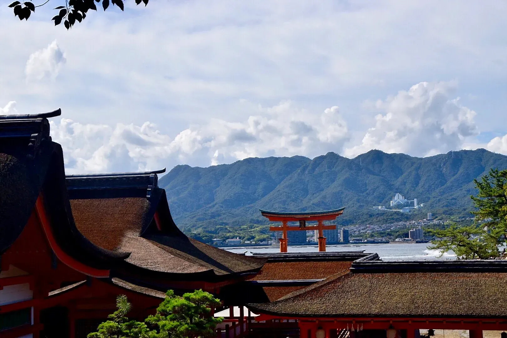 miyajima1.webp